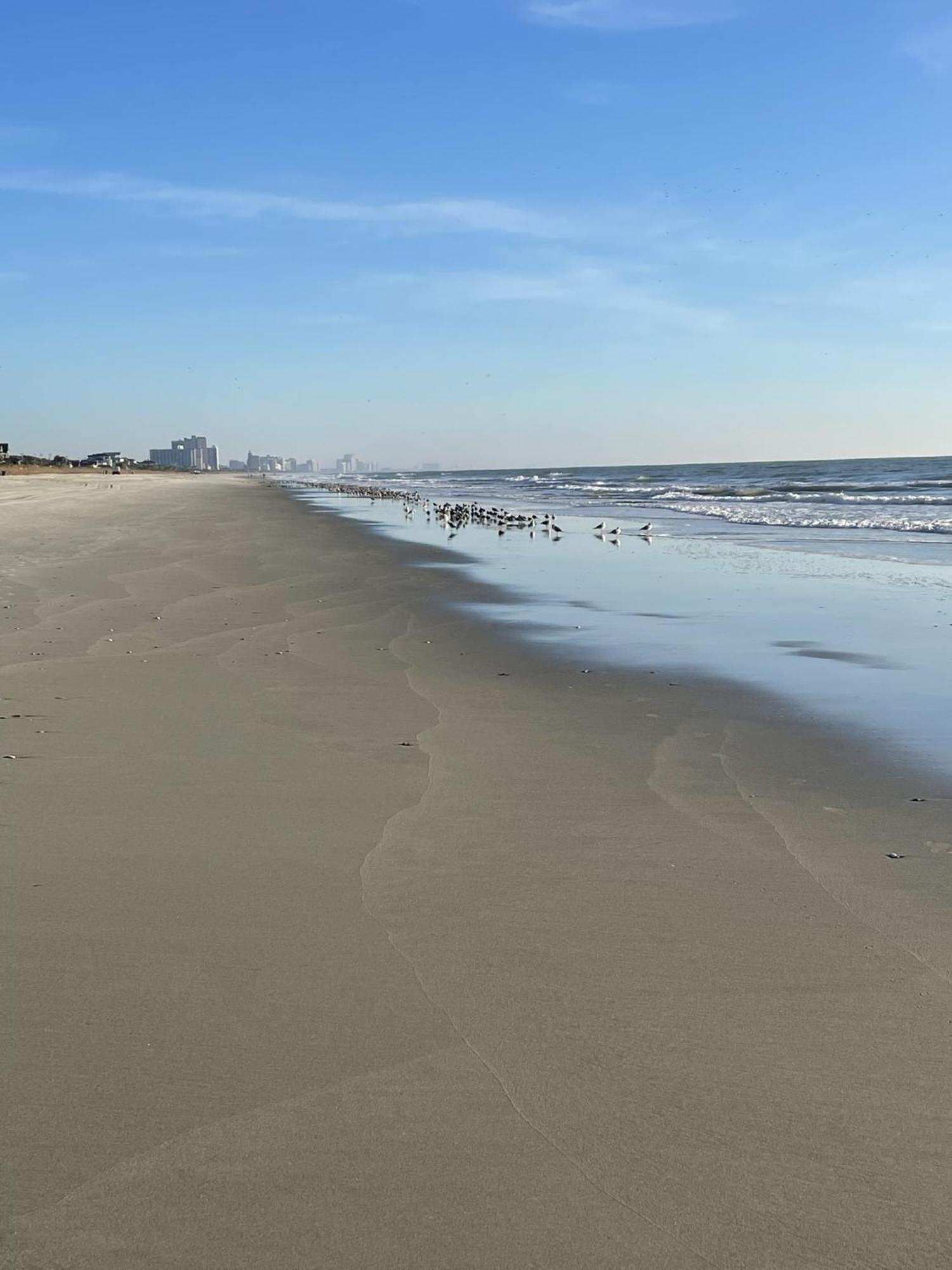 Blue Palmetto Vacation Rentals Myrtle Beach Exteriér fotografie