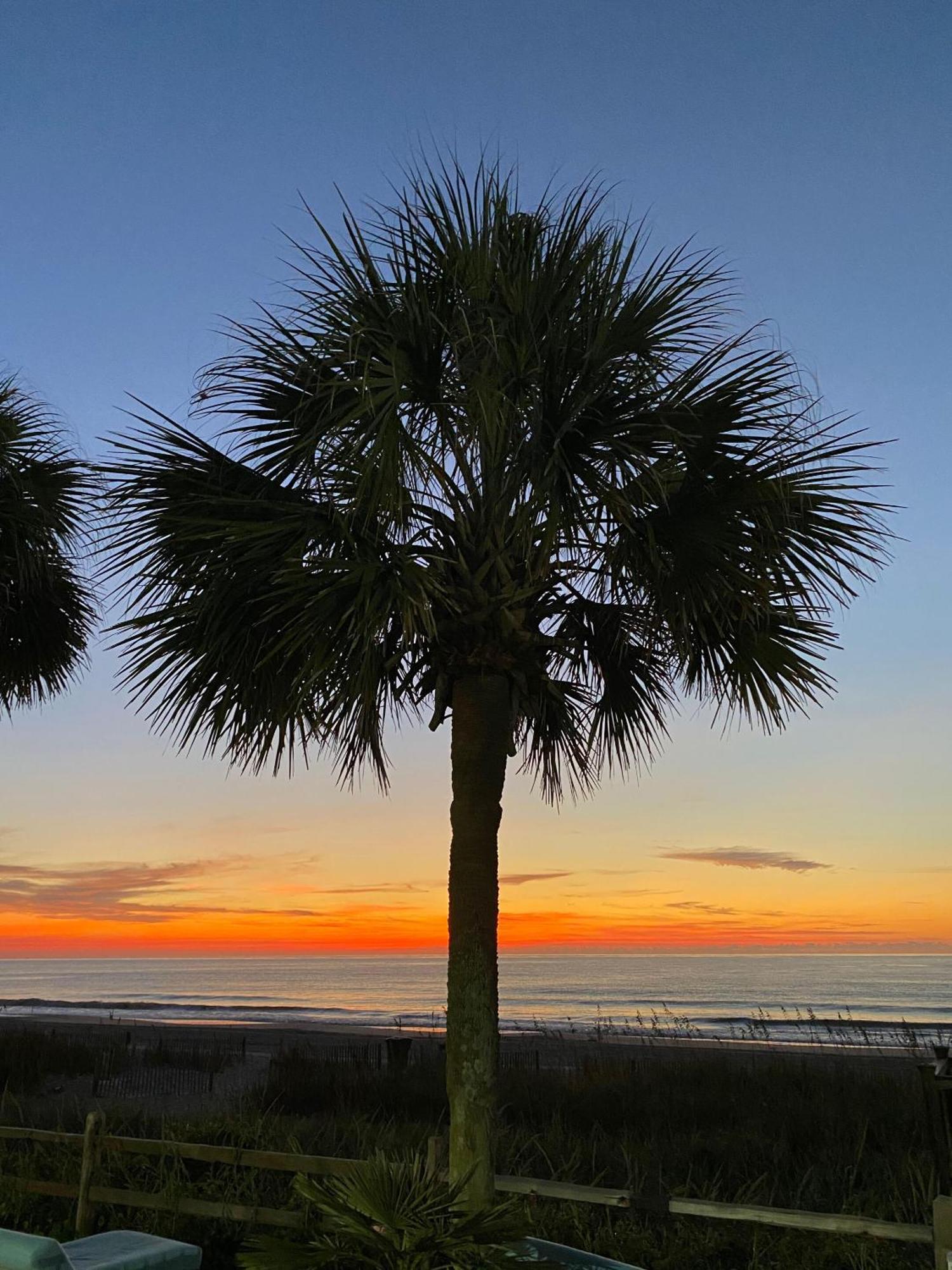 Blue Palmetto Vacation Rentals Myrtle Beach Exteriér fotografie